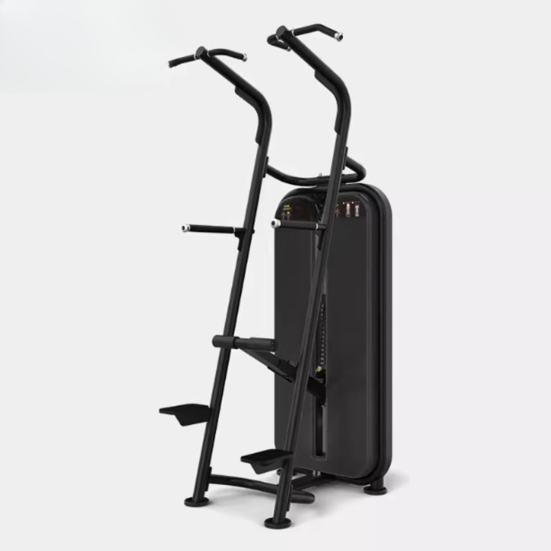アシスト付き懸垂平行棒アーム屈伸トレーナー ジムスポーツ用品 - Home Gym Equipment Diy のレビューと価格