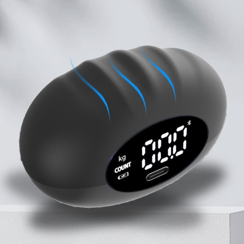 人間工学に基づいた 180kg デジタルハンドダイナモメータ - Home Gym Hack のレビューと価格