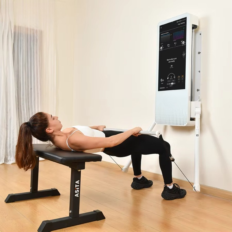 多機能ホームフィットネス機器：Tonal壁掛け型スマートトラ - Treadmill Home Gym のレビューと価格